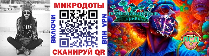 Галлюциногенные грибы Psilocybine cubensis  Кемь 